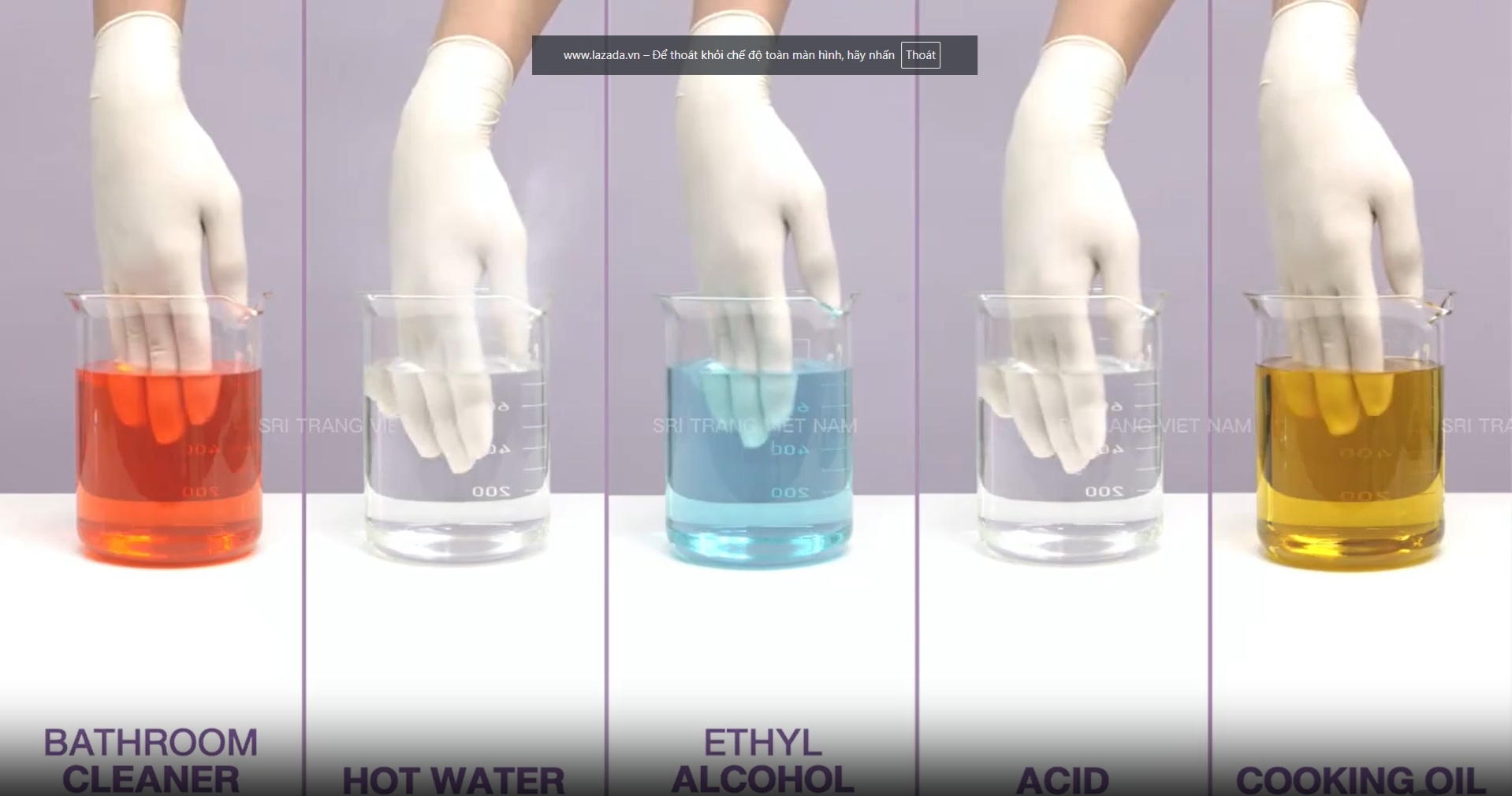 SGLOVES có bột
